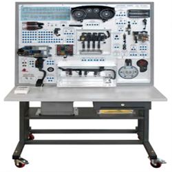 MULTIPOINT PETROL INJECTION